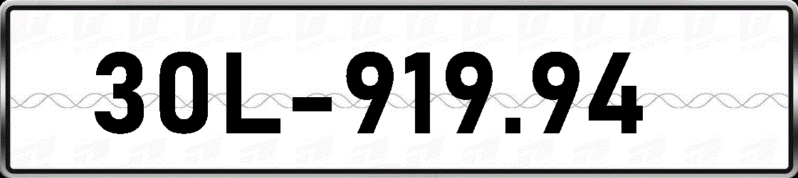 30L91994