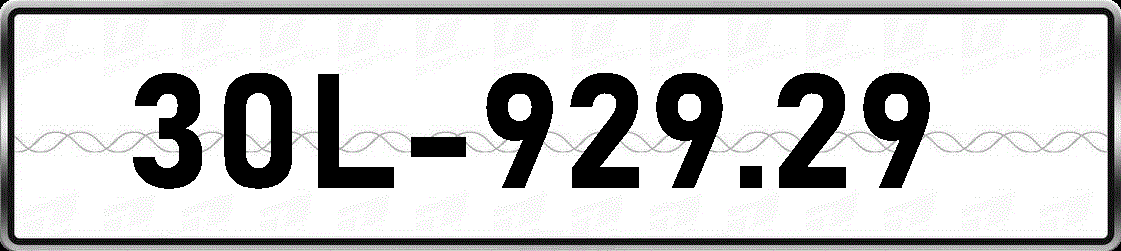 30L92929