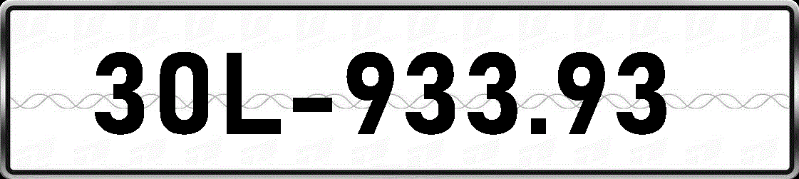 30L93393