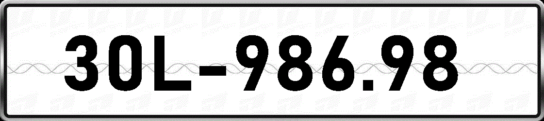 30L98698