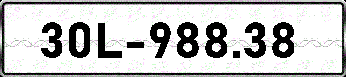 30L98838