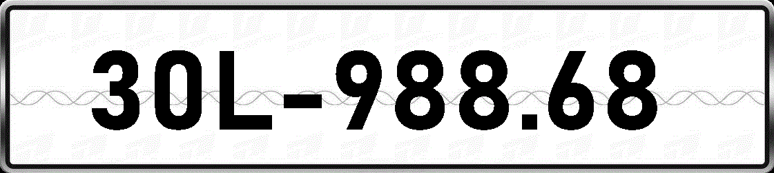 30L98868