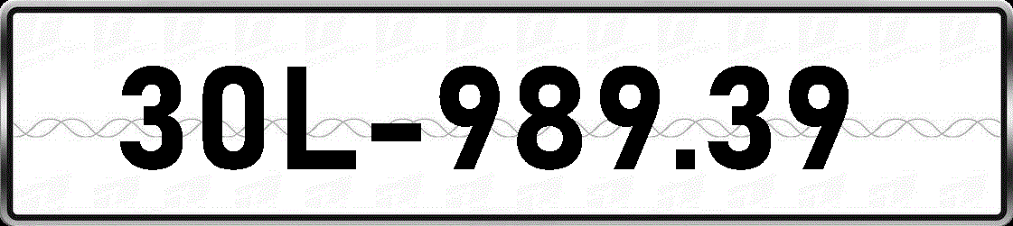30L98939