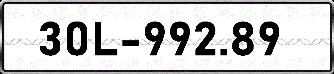 30L99289