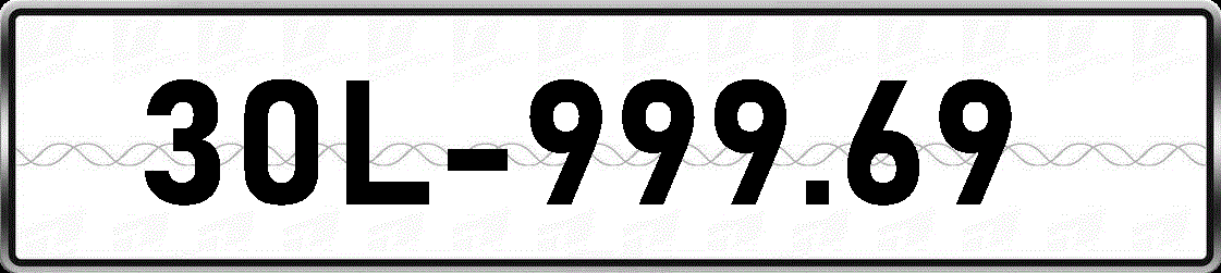 30L99969