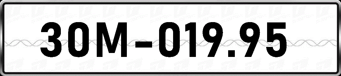 30M01995
