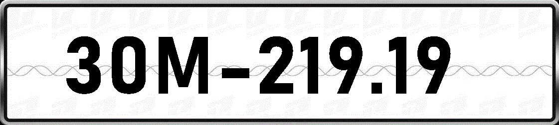 30M21919