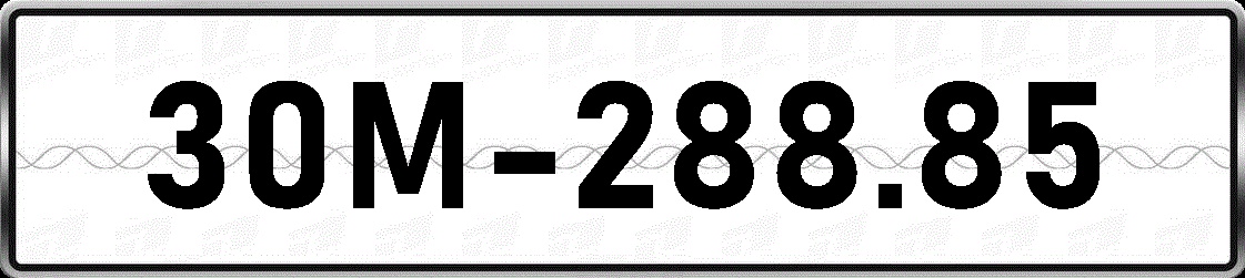 30M28885