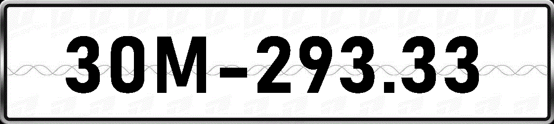 30M29333