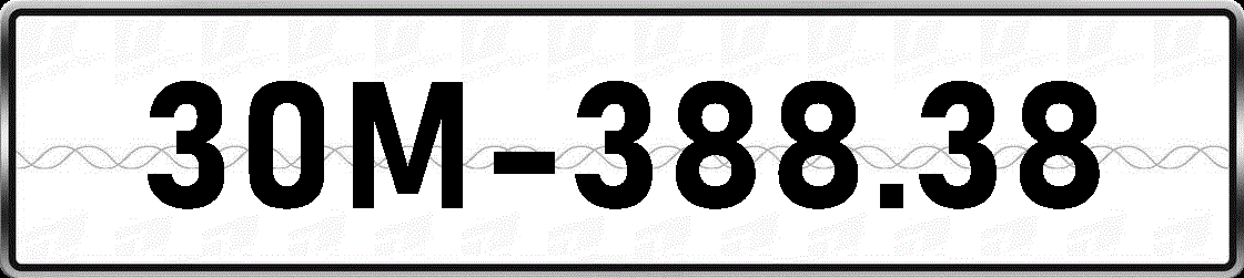 30M38838