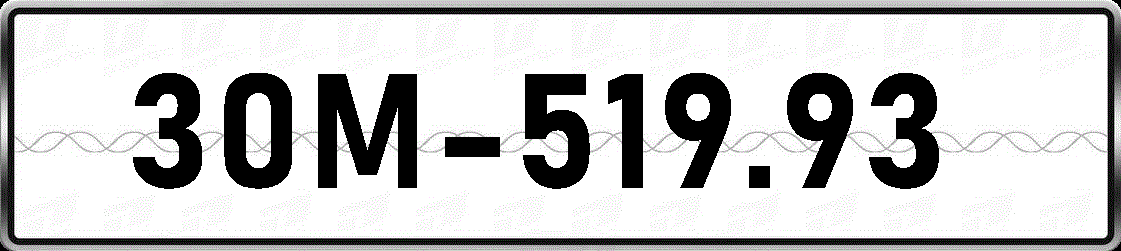 30M51993
