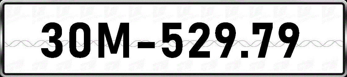 30M52979