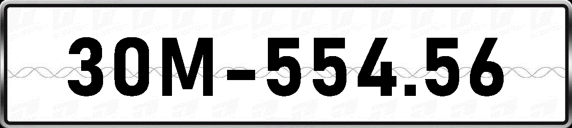 30M55456