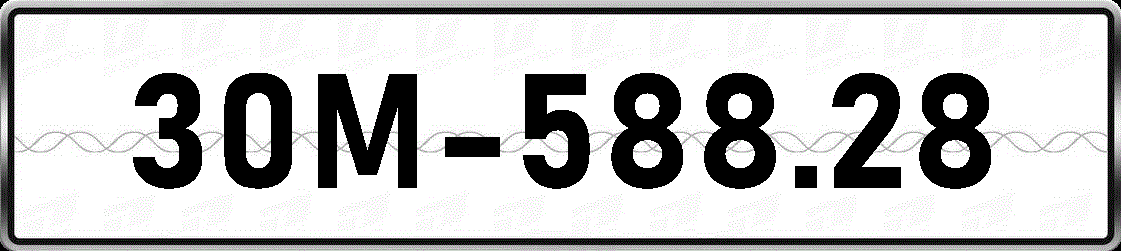 30M58828