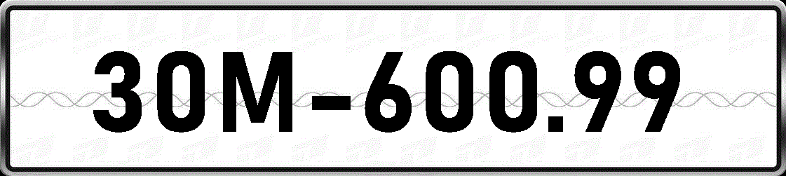 30M60099