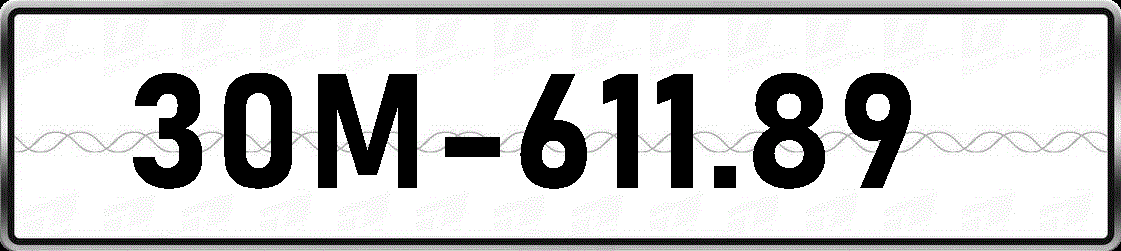 30M61189