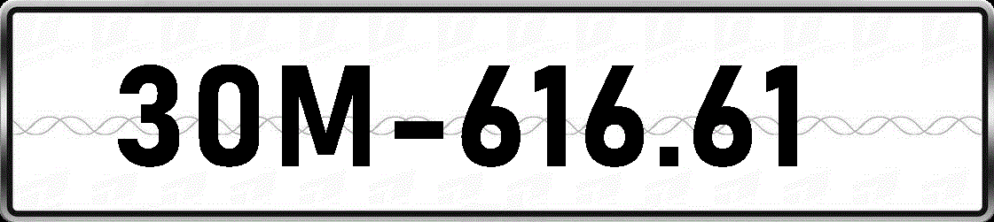 30M61661