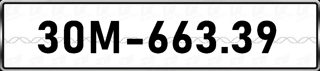 30M66339