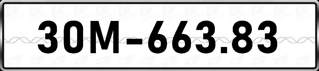 30M66383