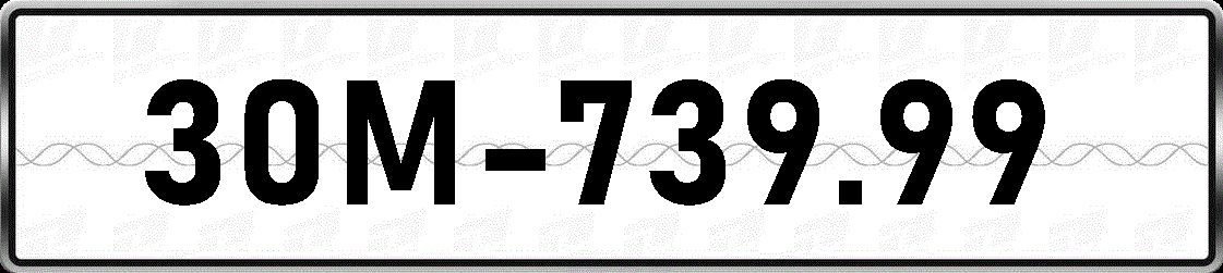 30M73999
