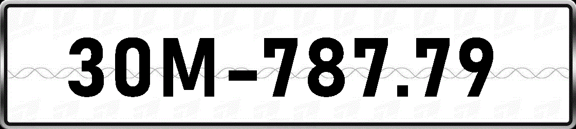 30M78779