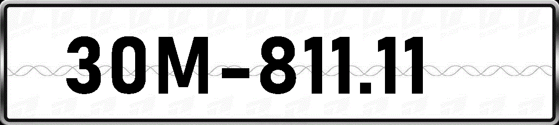 30M81111