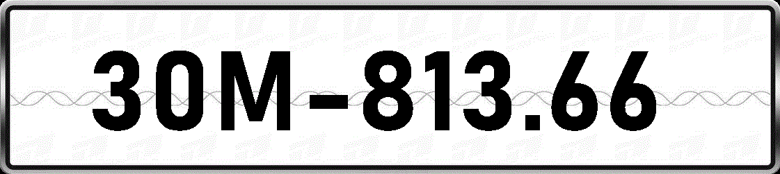 30M81366