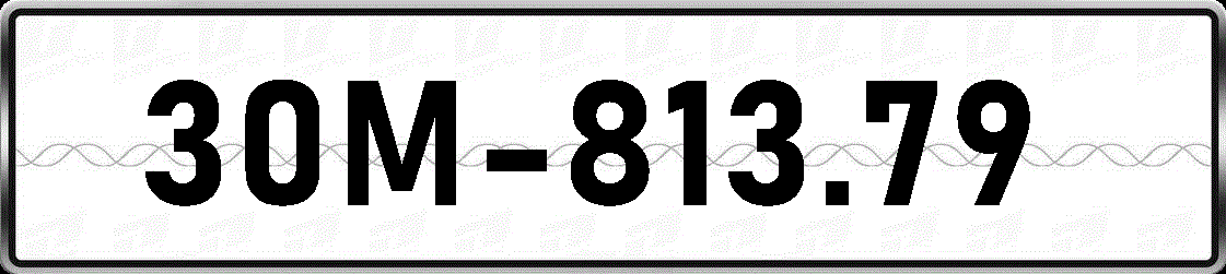 30M81379