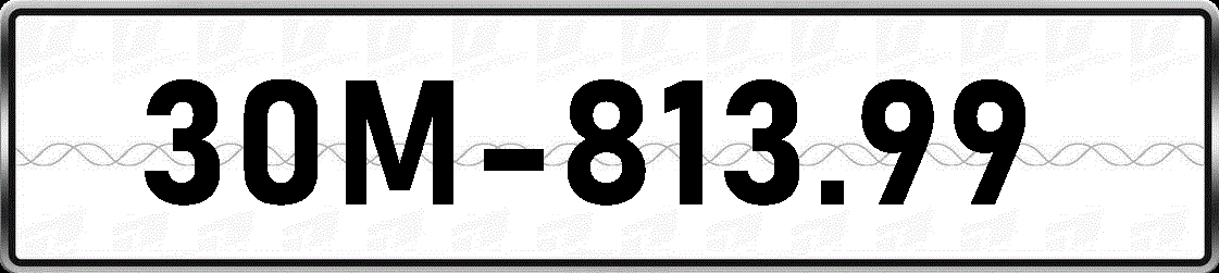 30M81399