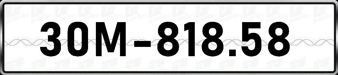 30M81858