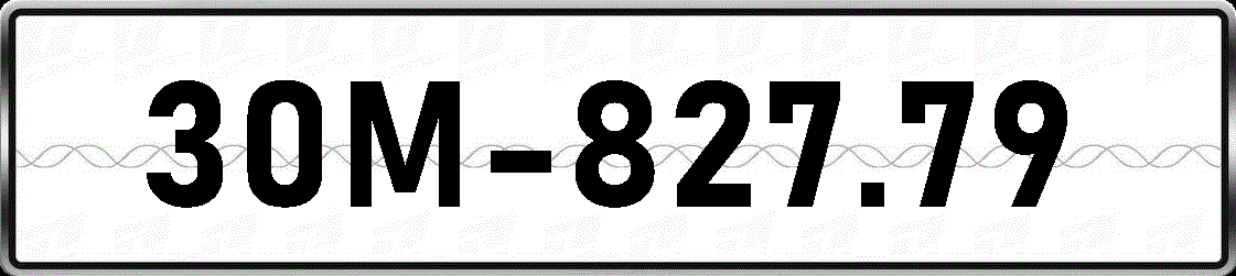 30M82779