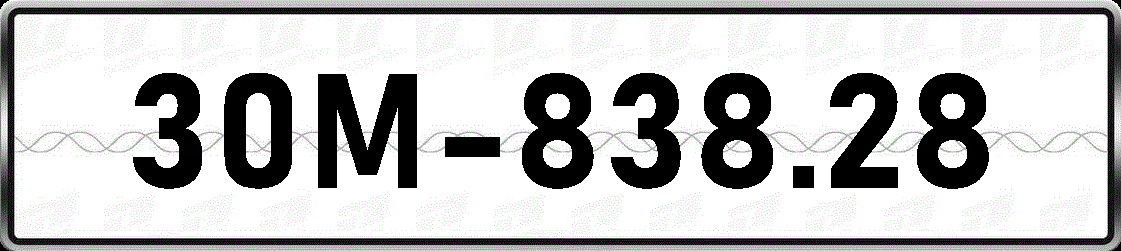 30M83828