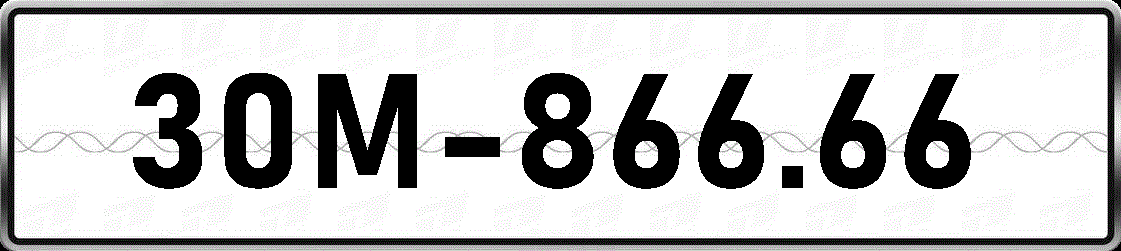 30M86666