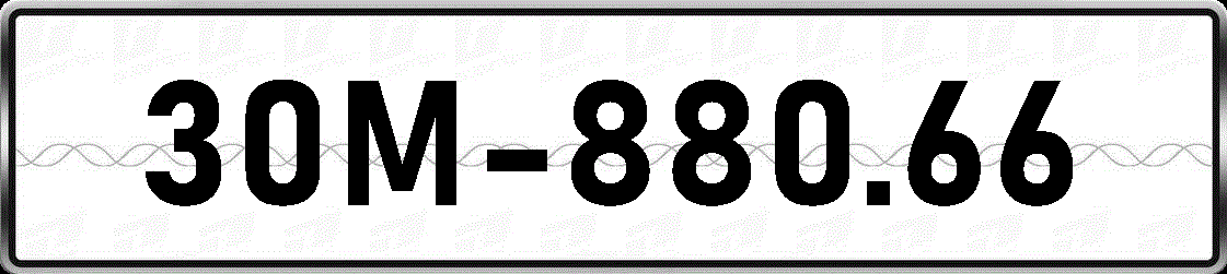 30M88066