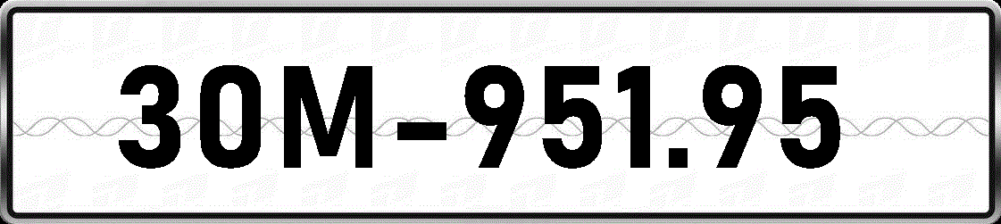 30M95195