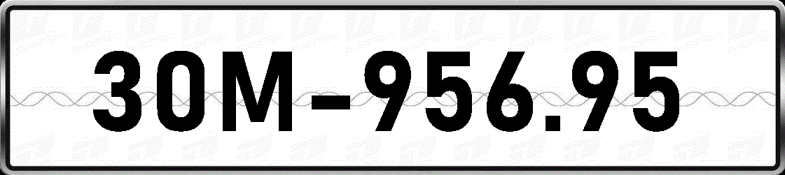 30M95695