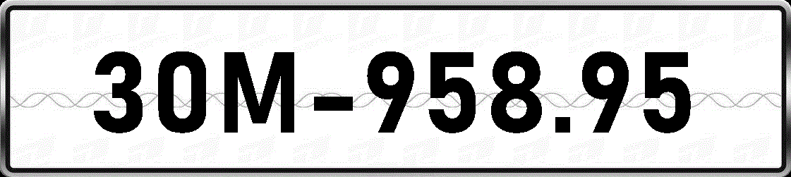 30M95895