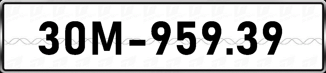 30M95939