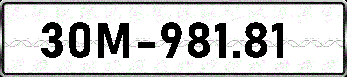 30M98181