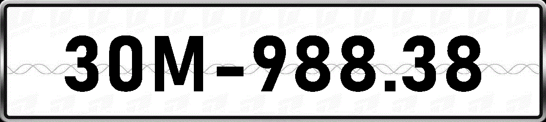 30M98838