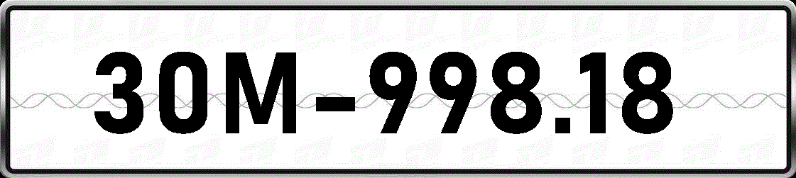 30M99818