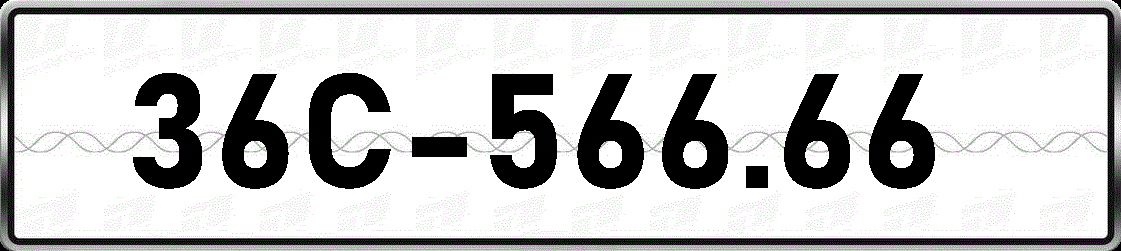 36C56666