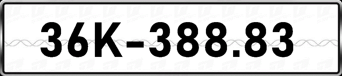 36K38883