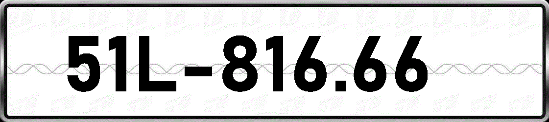 51L81666
