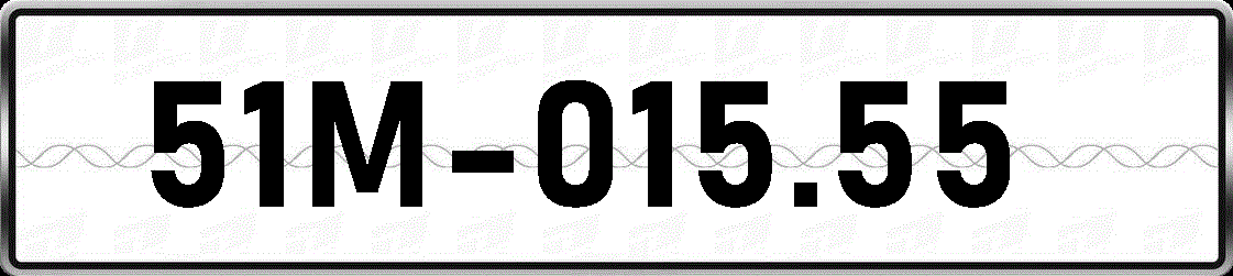 51M01555