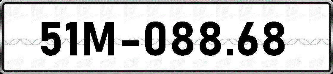 51M08868