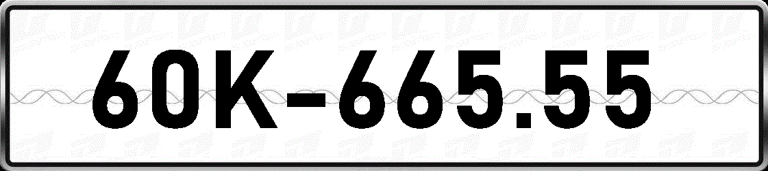 60K66555