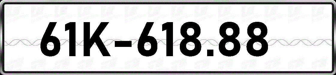 61K61888