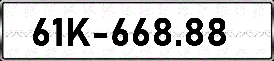 61K66888